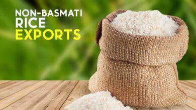 India allowed exports of non-basmati rice