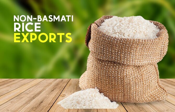 India allowed exports of non-basmati rice