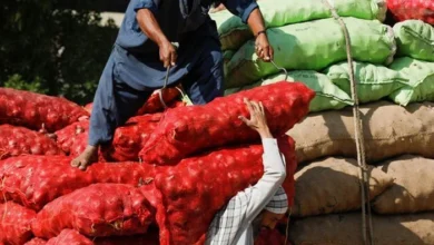 Inflation falls to 44-month low