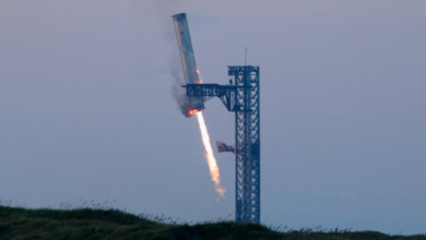 tower has caught the rocket
