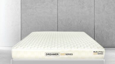 dreamer 1000 support