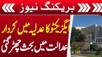 Executive cannot play the role of judiciary
