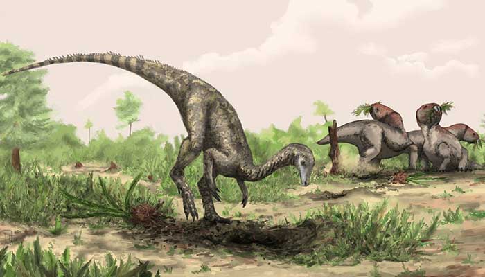 dinosaurs first evolved
