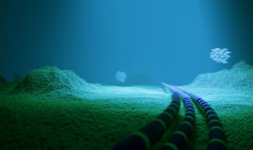 Meta undersea cable