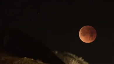 Blood Moon