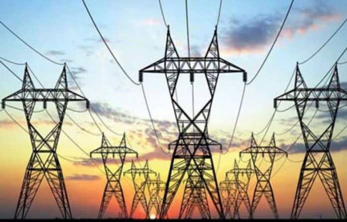 IPPs can opt for audit