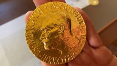 Over 300 Nobel Peace nominees counted