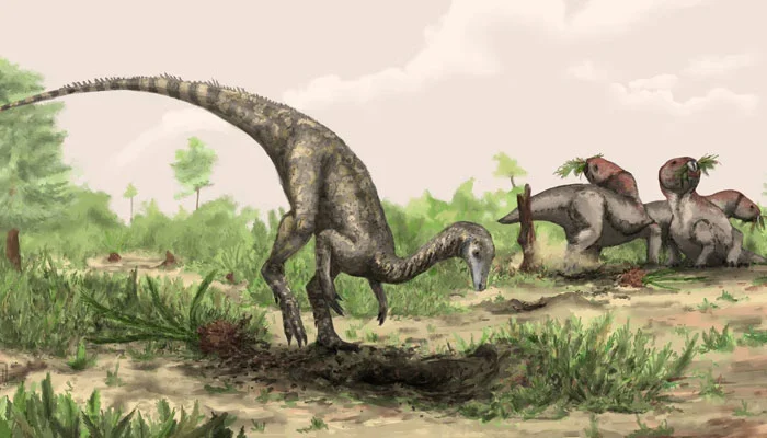 Dinosaurs may not be in decline