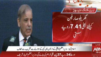 PM Shehbaz announces Rs7.41 per unit
