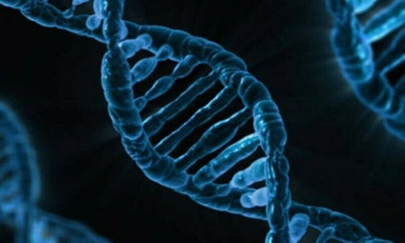US FDA approves first cell rare genetic skin disorder