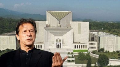 petition seeking Imran’s remand