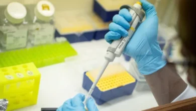 4-year-old girl of cured thalassemia