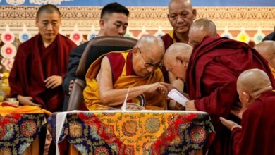 Dalai Lama suggests institution