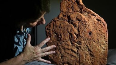 UK researchers uncover 4,000