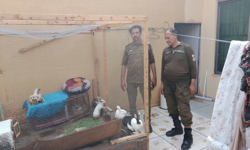 animal torture case in Lahore